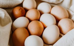 consumo de huevos